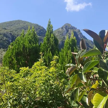 Villa Ewa Agios Georgios Pagon